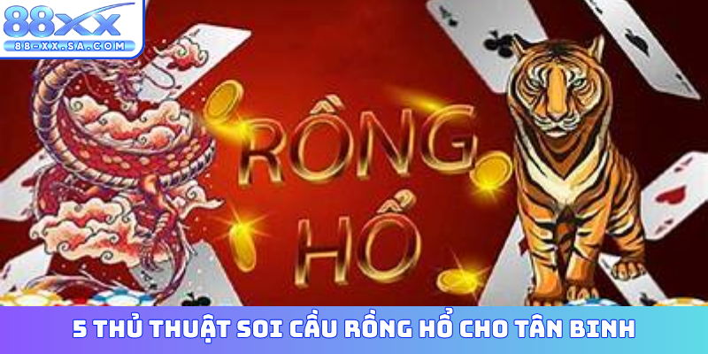 5 thủ thuật soi cầu Rồng Hổ cho tân binh